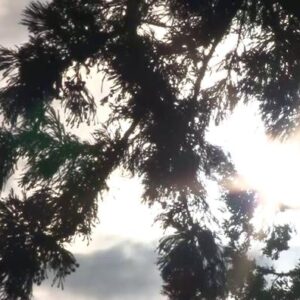 比叡山延暦寺会館　四本セット